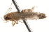  ( - BIOUG17344-C07)  @12 [ ] CreativeCommons - Attribution (2014) CBG Photography Group Centre for Biodiversity Genomics