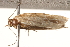  ( - BIOUG18344-A10)  @12 [ ] CreativeCommons - Attribution (2015) Unspecified Centre for Biodiversity Genomics