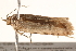  ( - BIOUG18344-C09)  @12 [ ] CreativeCommons - Attribution (2015) Unspecified Centre for Biodiversity Genomics