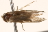  ( - BIOUG18344-F03)  @12 [ ] CreativeCommons - Attribution (2015) Unspecified Centre for Biodiversity Genomics