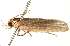  ( - BIOUG18344-F04)  @12 [ ] CreativeCommons - Attribution (2015) Unspecified Centre for Biodiversity Genomics