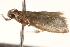  ( - BIOUG18344-F10)  @12 [ ] CreativeCommons - Attribution (2015) Unspecified Centre for Biodiversity Genomics