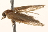  ( - BIOUG18344-G01)  @12 [ ] CreativeCommons - Attribution (2015) Unspecified Centre for Biodiversity Genomics