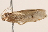  ( - BIOUG18345-A08)  @12 [ ] CreativeCommons - Attribution (2015) CBG Photography Group Centre for Biodiversity Genomics