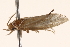  ( - BIOUG18345-C10)  @12 [ ] CreativeCommons - Attribution (2015) CBG Photography Group Centre for Biodiversity Genomics