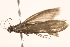  ( - BIOUG18345-D11)  @13 [ ] CreativeCommons - Attribution (2015) CBG Photography Group Centre for Biodiversity Genomics
