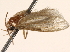  ( - BIOUG18345-E08)  @12 [ ] CreativeCommons - Attribution (2015) CBG Photography Group Centre for Biodiversity Genomics