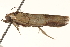  ( - BIOUG18345-G05)  @12 [ ] CreativeCommons - Attribution (2015) CBG Photography Group Centre for Biodiversity Genomics