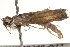  ( - BIOUG18346-A11)  @13 [ ] CreativeCommons - Attribution (2015) CBG Photography Group Centre for Biodiversity Genomics