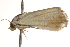  ( - BIOUG18346-B03)  @13 [ ] CreativeCommons - Attribution (2015) CBG Photography Group Centre for Biodiversity Genomics