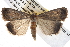  ( - BIOUG10024-A03)  @13 [ ] CreativeCommons - Attribution (2014) CBG Photography Group Centre for Biodiversity Genomics