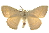  ( - BIOUG10024-B07)  @14 [ ] CreativeCommons - Attribution (2014) CBG Photography Group Centre for Biodiversity Genomics