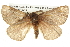  ( - BIOUG10024-B09)  @14 [ ] CreativeCommons - Attribution (2014) CBG Photography Group Centre for Biodiversity Genomics