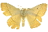  ( - BIOUG10024-B11)  @13 [ ] CreativeCommons - Attribution (2014) CBG Photography Group Centre for Biodiversity Genomics