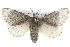  ( - BIOUG10024-H01)  @15 [ ] CreativeCommons - Attribution (2014) CBG Photography Group Centre for Biodiversity Genomics