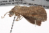  ( - BIOUG10025-A06)  @12 [ ] CreativeCommons - Attribution (2014) CBG Photography Group Centre for Biodiversity Genomics