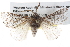  ( - BIOUG10025-B02)  @15 [ ] CreativeCommons - Attribution (2014) CBG Photography Group Centre for Biodiversity Genomics