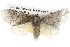  ( - BIOUG10025-B04)  @15 [ ] CreativeCommons - Attribution (2014) CBG Photography Group Centre for Biodiversity Genomics
