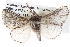 ( - BIOUG10025-B05)  @15 [ ] CreativeCommons - Attribution (2014) CBG Photography Group Centre for Biodiversity Genomics