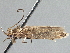  ( - BIOUG10025-H01)  @12 [ ] CreativeCommons - Attribution (2014) CBG Photography Group Centre for Biodiversity Genomics