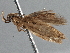  ( - BIOUG10025-H03)  @12 [ ] CreativeCommons - Attribution (2014) CBG Photography Group Centre for Biodiversity Genomics