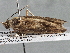  ( - BIOUG10025-H04)  @12 [ ] CreativeCommons - Attribution (2014) CBG Photography Group Centre for Biodiversity Genomics