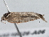  ( - BIOUG10026-A06)  @12 [ ] CreativeCommons - Attribution (2014) CBG Photography Group Centre for Biodiversity Genomics