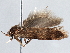  ( - BIOUG10026-B03)  @12 [ ] CreativeCommons - Attribution (2014) CBG Photography Group Centre for Biodiversity Genomics