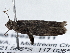  ( - BIOUG10026-B11)  @12 [ ] CreativeCommons - Attribution (2014) CBG Photography Group Centre for Biodiversity Genomics