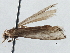  ( - BIOUG10026-C04)  @12 [ ] CreativeCommons - Attribution (2014) CBG Photography Group Centre for Biodiversity Genomics