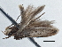  ( - BIOUG10026-E09)  @12 [ ] CreativeCommons - Attribution (2014) CBG Photography Group Centre for Biodiversity Genomics