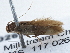  ( - BIOUG10026-H03)  @13 [ ] CreativeCommons - Attribution (2014) CBG Photography Group Centre for Biodiversity Genomics