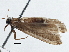  ( - BIOUG10027-C06)  @12 [ ] CreativeCommons - Attribution (2014) CBG Photography Group Centre for Biodiversity Genomics