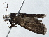  ( - BIOUG10027-C08)  @12 [ ] CreativeCommons - Attribution (2014) CBG Photography Group Centre for Biodiversity Genomics