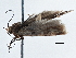  ( - BIOUG10027-D08)  @13 [ ] CreativeCommons - Attribution (2014) CBG Photography Group Centre for Biodiversity Genomics