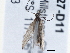  ( - BIOUG10027-D11)  @12 [ ] CreativeCommons - Attribution (2014) CBG Photography Group Centre for Biodiversity Genomics