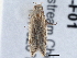  ( - BIOUG10027-F01)  @12 [ ] CreativeCommons - Attribution (2014) CBG Photography Group Centre for Biodiversity Genomics