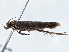  ( - BIOUG10027-F10)  @12 [ ] CreativeCommons - Attribution (2014) CBG Photography Group Centre for Biodiversity Genomics