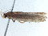  ( - BIOUG10397-A05)  @12 [ ] CreativeCommons - Attribution (2014) CBG Photography Group Centre for Biodiversity Genomics