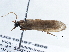  ( - BIOUG10397-B06)  @12 [ ] CreativeCommons - Attribution (2014) CBG Photography Group Centre for Biodiversity Genomics