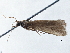  ( - BIOUG10397-B10)  @12 [ ] CreativeCommons - Attribution (2014) CBG Photography Group Centre for Biodiversity Genomics