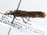 ( - BIOUG10397-D04)  @12 [ ] CreativeCommons - Attribution (2014) CBG Photography Group Centre for Biodiversity Genomics