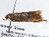  ( - BIOUG10397-D06)  @12 [ ] CreativeCommons - Attribution (2014) CBG Photography Group Centre for Biodiversity Genomics