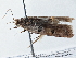  ( - BIOUG10397-F03)  @12 [ ] CreativeCommons - Attribution (2014) CBG Photography Group Centre for Biodiversity Genomics
