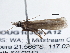  ( - BIOUG10398-A12)  @12 [ ] CreativeCommons - Attribution (2014) CBG Photography Group Centre for Biodiversity Genomics