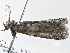  ( - BIOUG10398-B08)  @12 [ ] CreativeCommons - Attribution (2014) CBG Photography Group Centre for Biodiversity Genomics