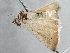  ( - BIOUG10399-E01)  @13 [ ] CreativeCommons - Attribution (2014) CBG Photography Group Centre for Biodiversity Genomics