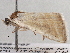  ( - BIOUG10399-F07)  @13 [ ] CreativeCommons - Attribution (2014) CBG Photography Group Centre for Biodiversity Genomics