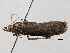  ( - BIOUG10399-H02)  @12 [ ] CreativeCommons - Attribution (2014) CBG Photography Group Centre for Biodiversity Genomics
