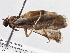  ( - BIOUG10399-H10)  @12 [ ] CreativeCommons - Attribution (2014) CBG Photography Group Centre for Biodiversity Genomics